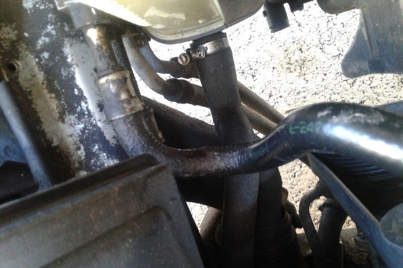 Когда гильзы были чугунными: покупаем BMW 5 E39 за 300 тысяч